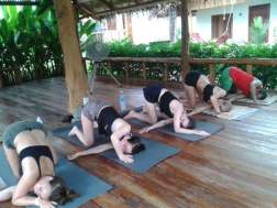 teaching, yoga retreat in Thailand